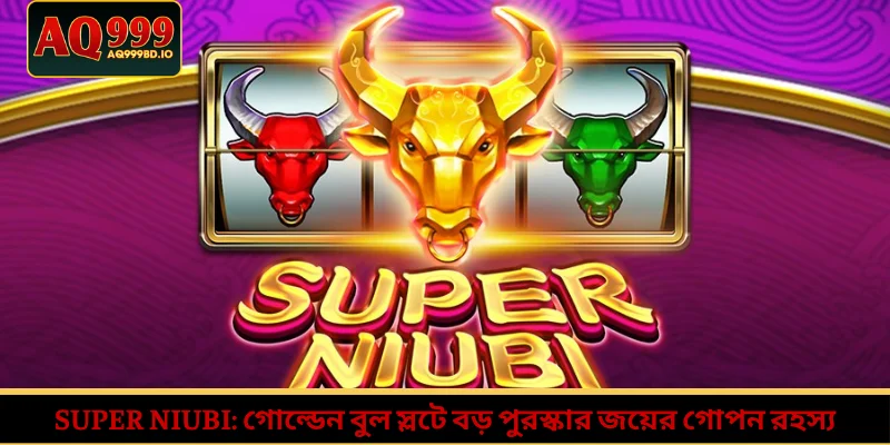 Super Niubi