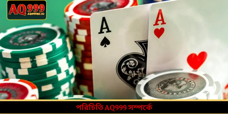 পরিচিতি AQ999 সম্পর্কে